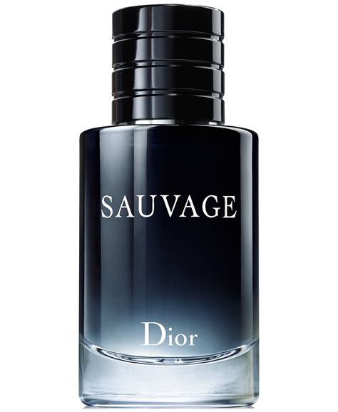 Dior eau de toilette mens